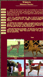 Mobile Screenshot of kwminpins.com